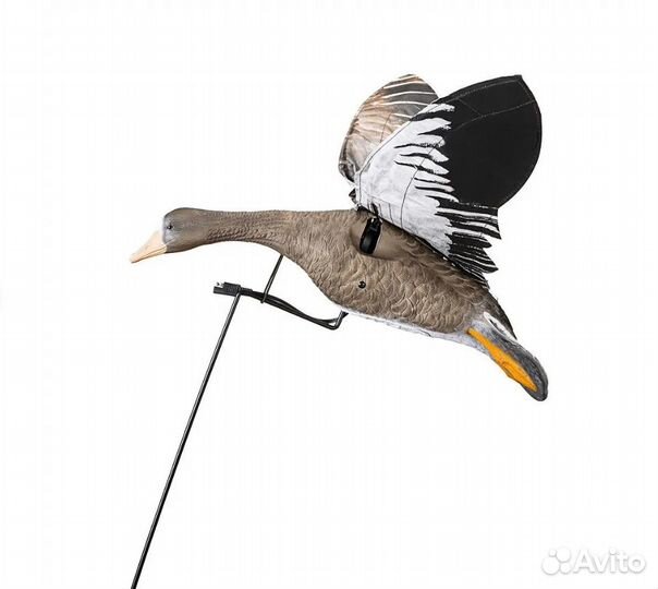 Чучела гусь белолобый махокрыл DM-FLY-B