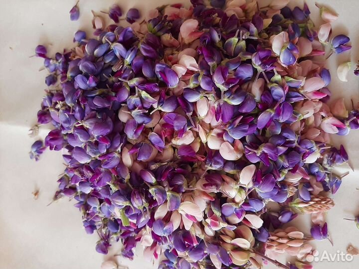 Травы лечебные