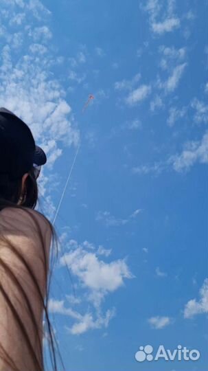 Воздушный змей большой