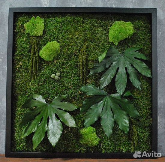 Стабилизированный мох.Панель из мха 60 см