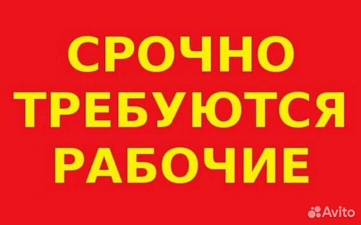 Транспортировщик без опыта работы