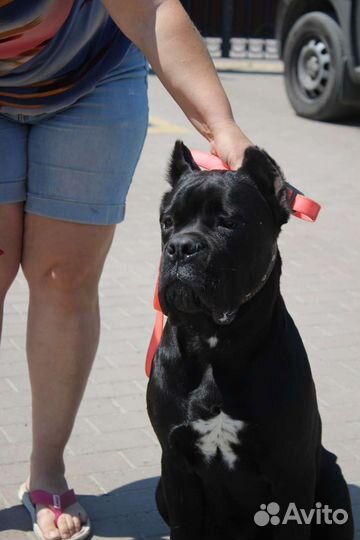 Супер мальчик