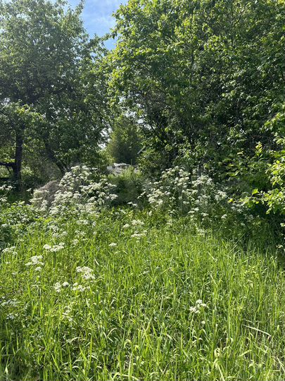 Дом 25 м² на участке 28 сот.