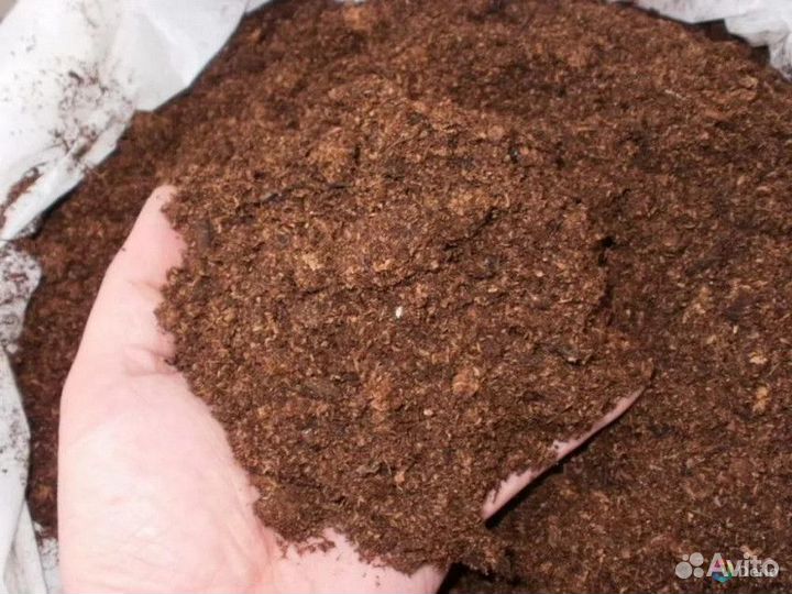 Земля чернозем