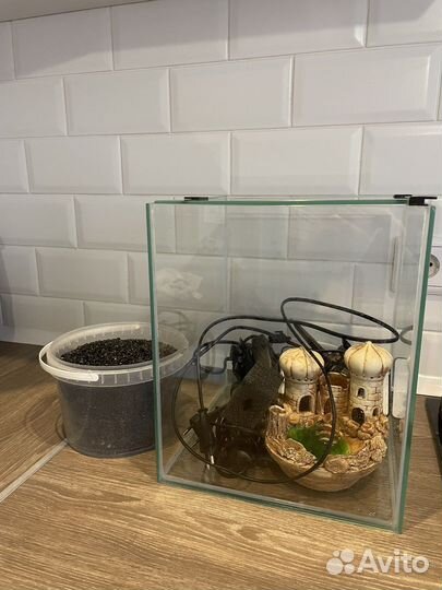 Аквариум