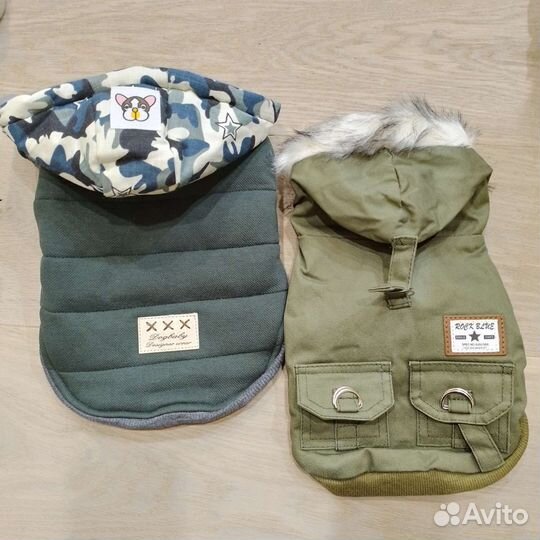 Одежда для собак