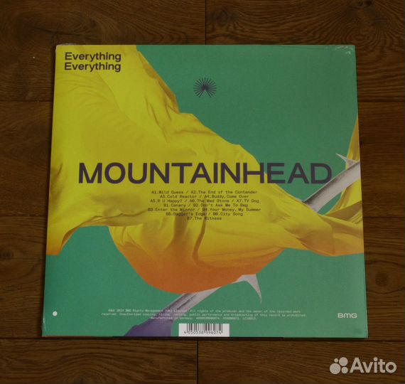 Everything Everything - Mountainhead (LP)