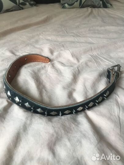 Ошейник для собак