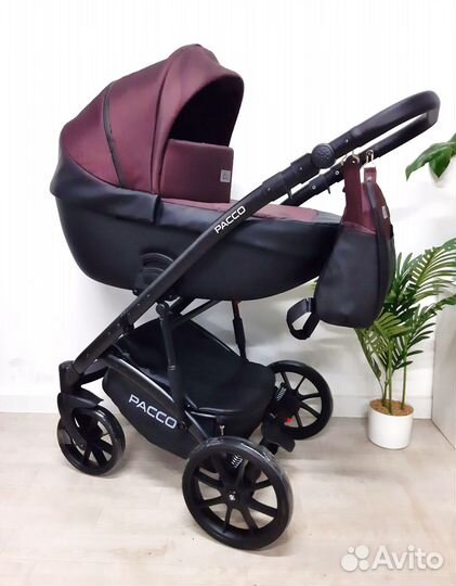 Новая коляска Pacco 2 в 1 (Рико)