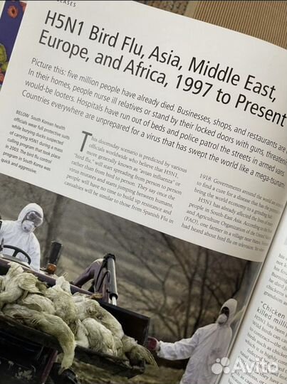 Книги новые, подарочные альбомы