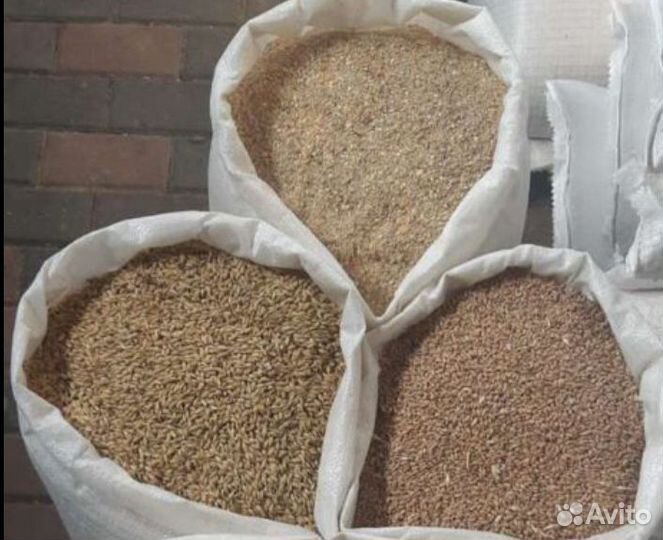 Отруби пшеничные оптом