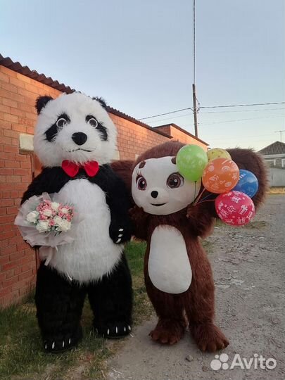 Поздравления/Аниматоры/ростовые куклы