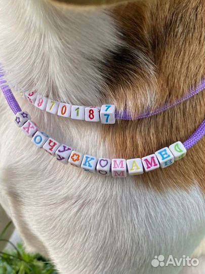 Адресники для собак и кошек