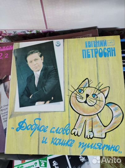 Виниловые пластинки
