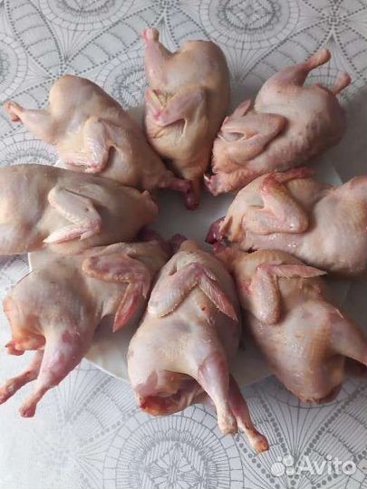 Мясо перепела