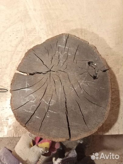 Спил торцевой