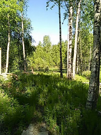 Участок 12 сот. (ИЖС)