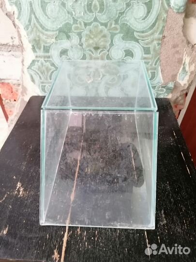 Берег для черепахи