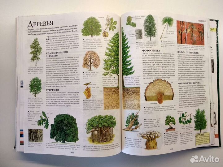 Большая иллюстрированная энциклопедия школьника