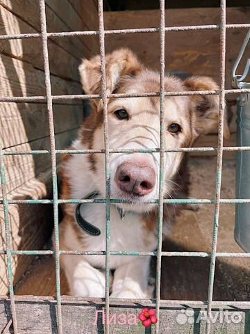 Милейшая девочка ищет семью