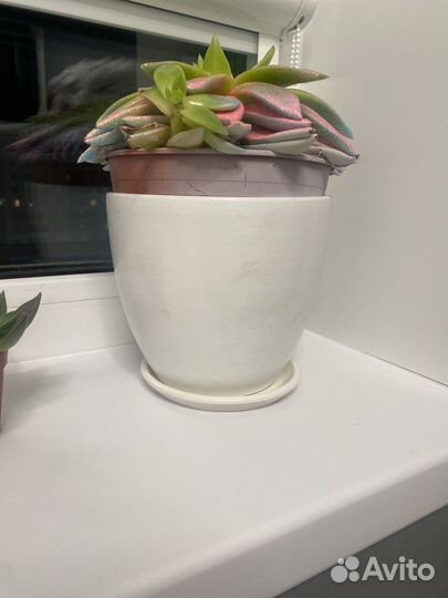 Горшок для цветов керамика