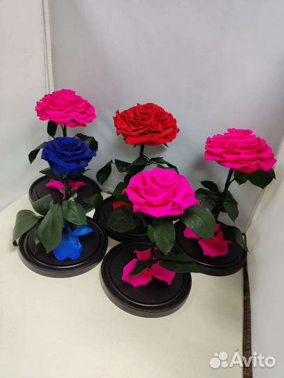 Роза в колбе оптом и в розницу
