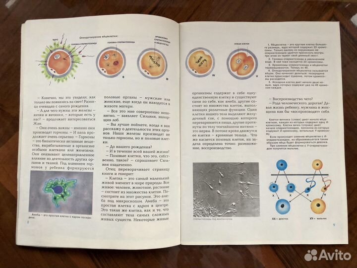 Энциклопедия сексуальной жизни для детей