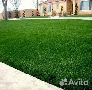 Укладка газона