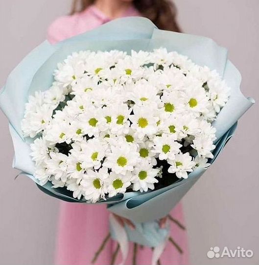 Хризантема