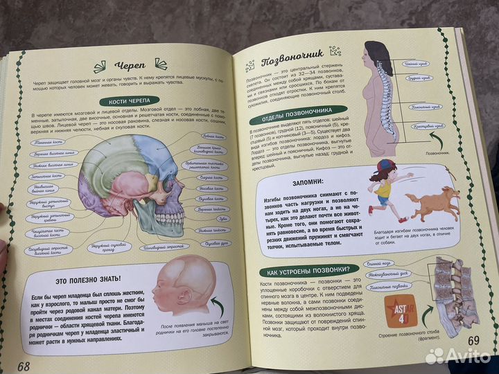 Энциклопедия для девочек