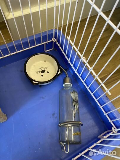 Клетка для грызунов большая