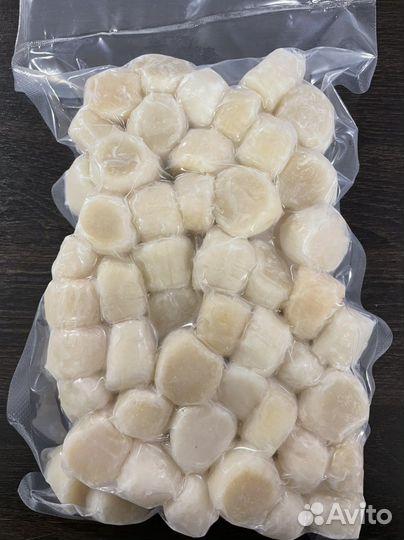 Филе морского гребешка