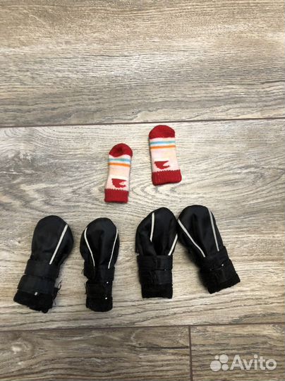 Одежда для животных (комбинезон, перчатки)