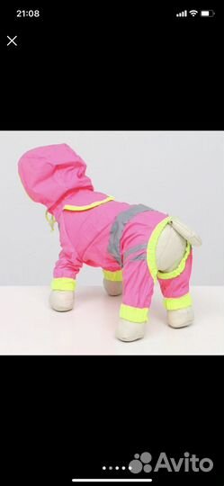 Кофты для сфинксов