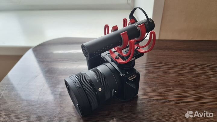 Микрофон Rode Videomic Go ii