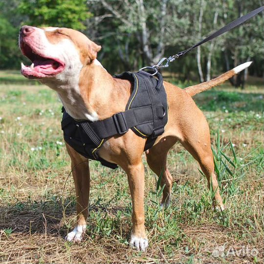 Шлейка из нейлона