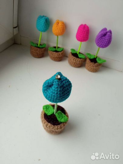 Тюльпан и другое