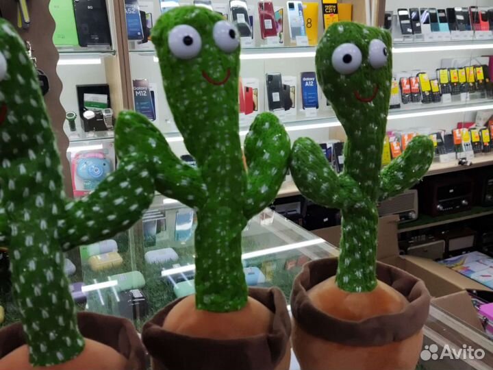 Танцующий кактус