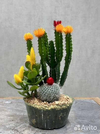 Цветы,шары,игрушки и товары для праздника