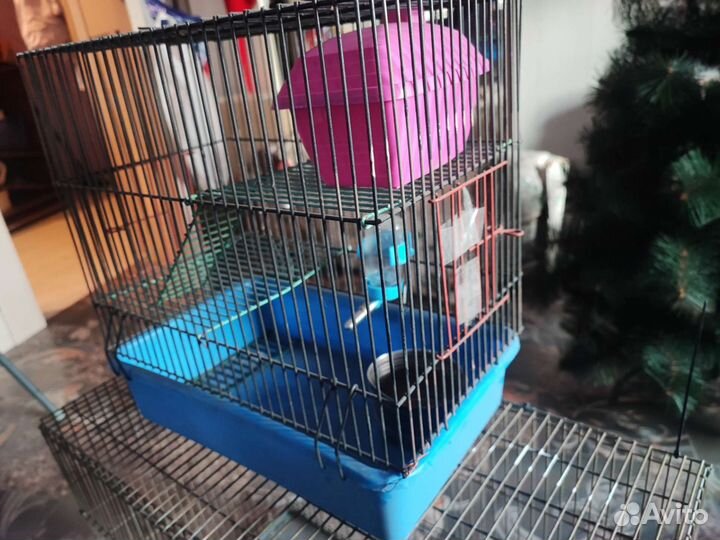 Клетка для грызунов маленькая, большая для птиц