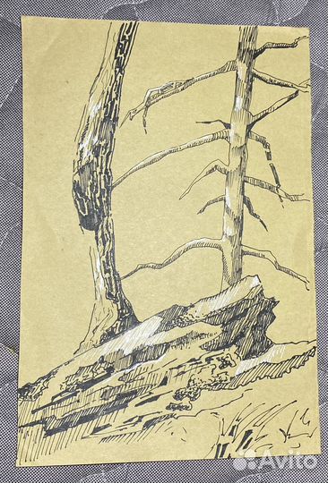 Картина графика