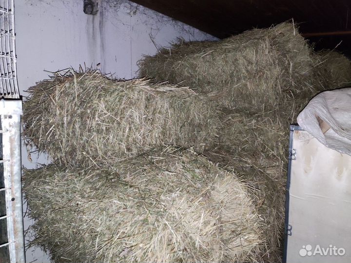 Сено в тюках