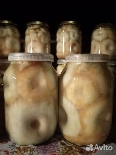 Грибы грузди соленые