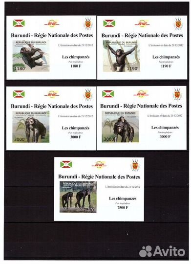 Бурунди, 2012. (bc12128) Фауна, шимпанзе (сз+бз)