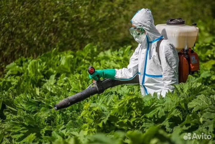 Дезинфекция Дезинсекция Обработка от вредителей