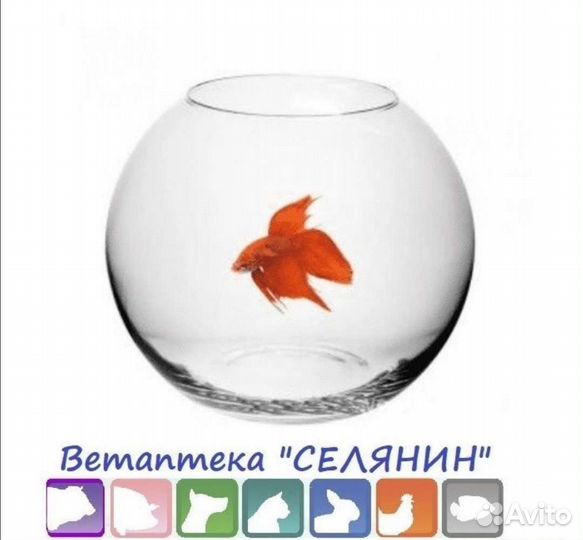 Аквариум Круглый 13л