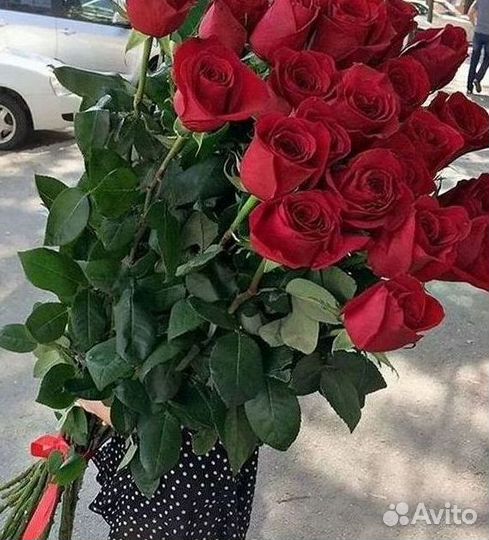 Розы Высокие 150см 160см 170см 180см 190см 2м