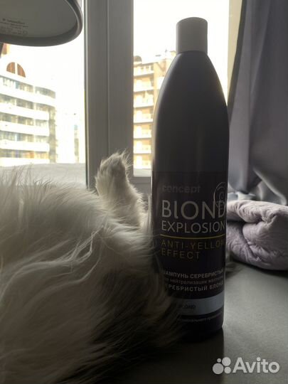 Оттеночный шампунь против желтизны