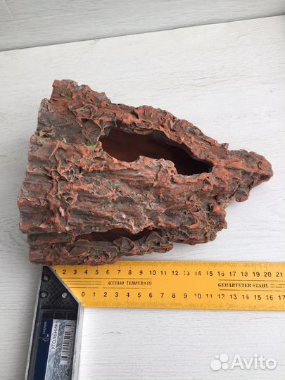 Набор растений и ракушки