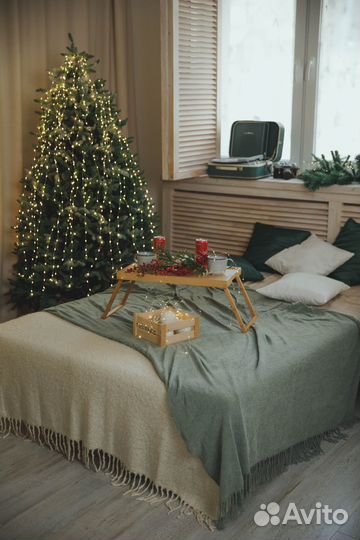 Фотостудия в аренду новогодняя